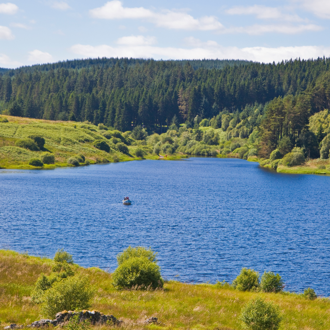  Kielder Forest with its blue waters